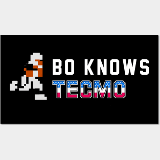 Bo Knows Tecmo Posters and Art